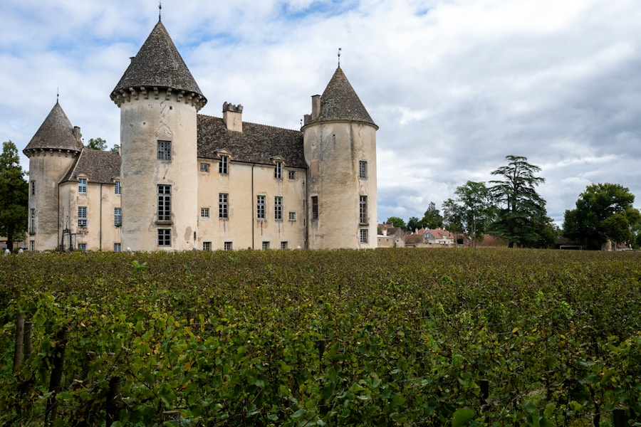 Kasteel tussen de wijngaarden van de Bourgogne